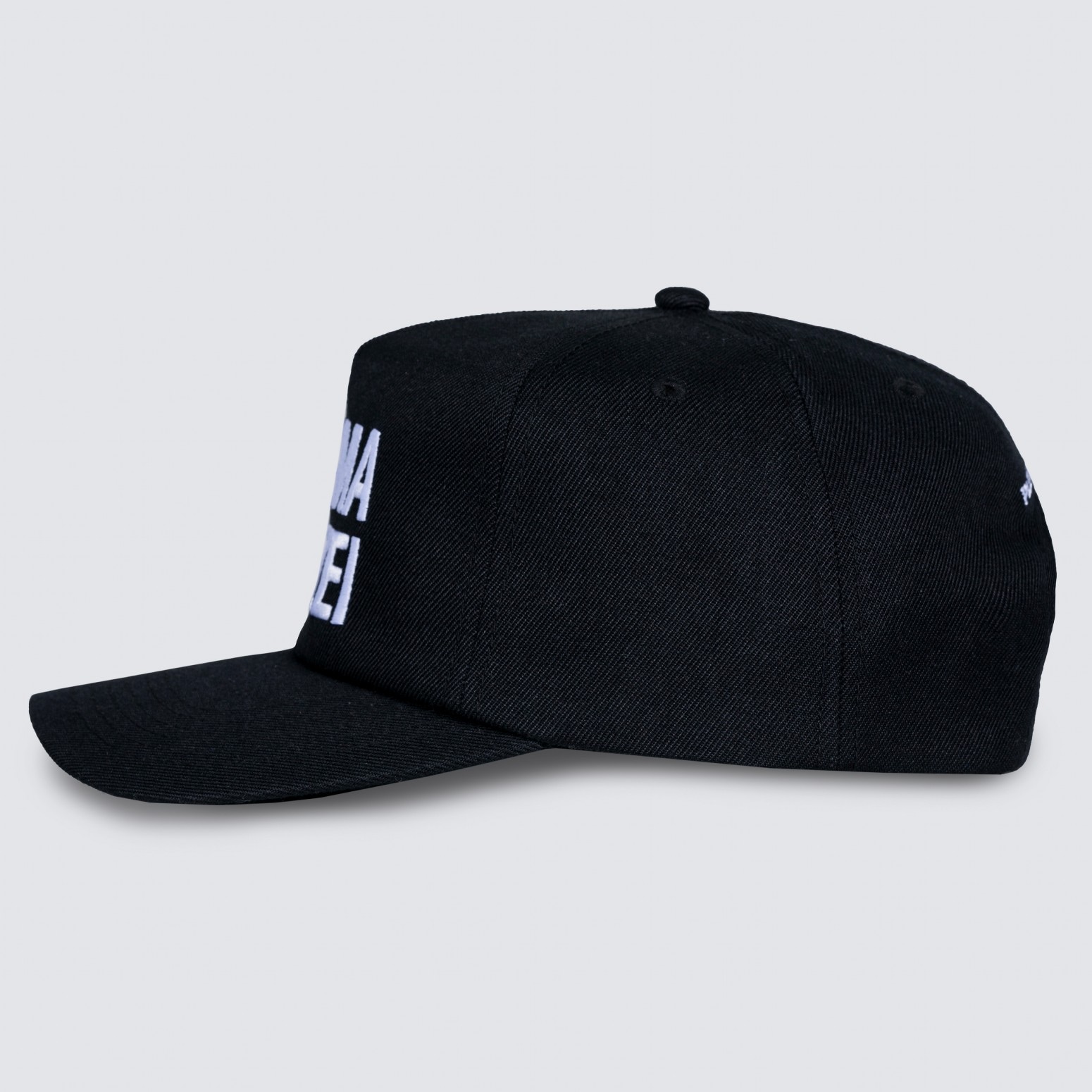 PLEASURES/ץ쥸㡼KARMA SNAPBACK å / BLACK