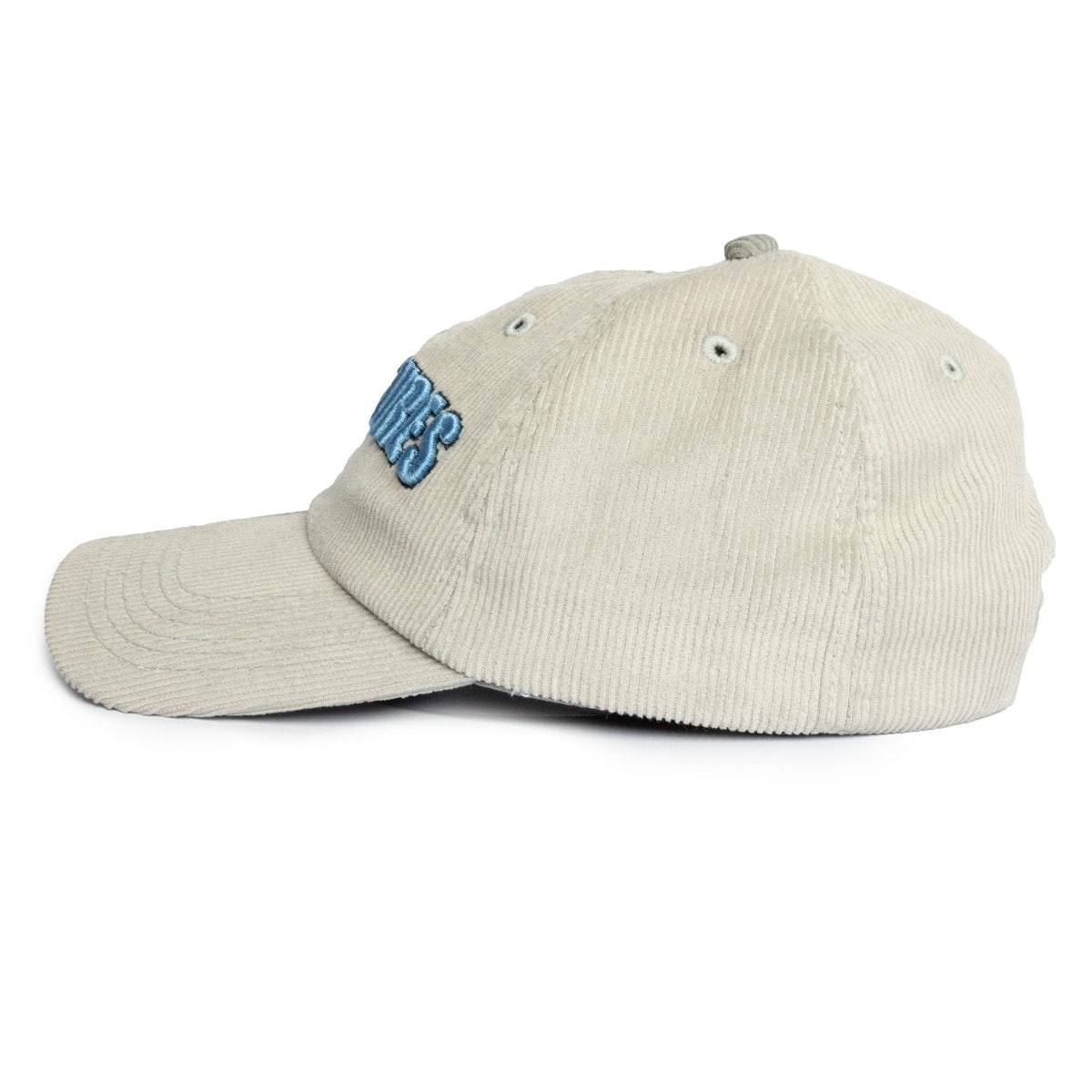 ��PLEASURES/�ץ쥸�㡼����SPLIT CORDUROY CAP ����å� / GREY