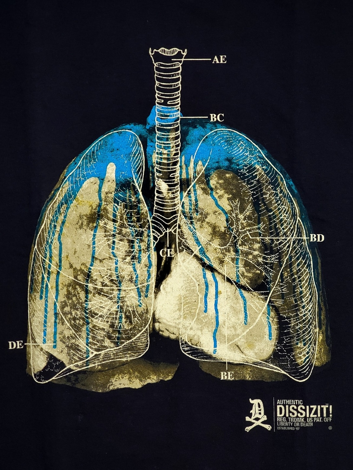 ��DISSIZIT/�ǥ����������åȡ�DZT PLS TEE T����� / BLACK �֥�å�