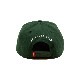 ACAPULCO GOLD/ץ륳 ɡVARSITY LOGO SNAPBACK CAP ʥåץХåå / FOREST