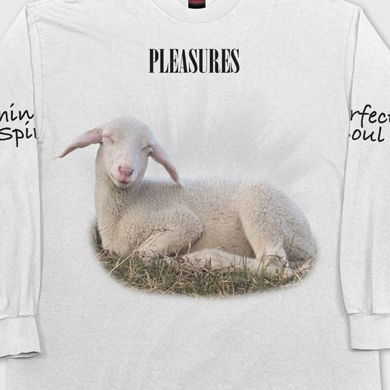 ��PLEASURES/�ץ쥸�㡼����SHINE LONG SLEEVE ĹµT����� / WHITE