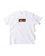 ACAPULCO GOLD/ץ륳 ɡGRADATION LOGO TEE T / WHITE