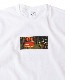 ACAPULCO GOLD/ץ륳 ɡGRADATION LOGO TEE T / WHITE