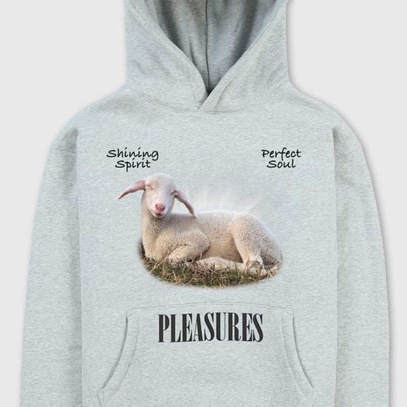 ��PLEASURES/�ץ쥸�㡼����SHINE HOODIE �ѡ����� / HEATHER