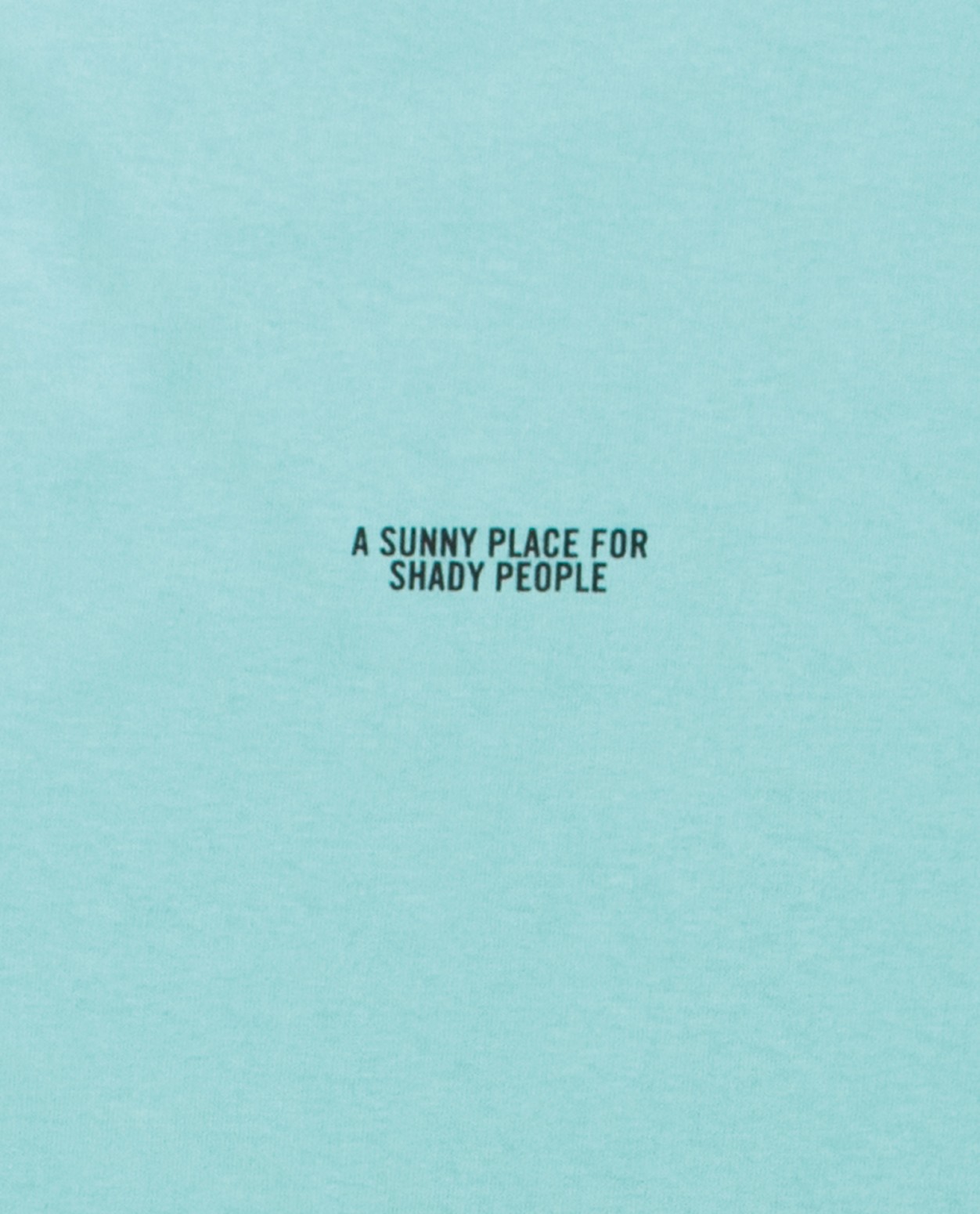 ��ACAPULCO GOLD/�����ץ륳 ������ɡ�ONE LOVE TEE T����� / CELADON