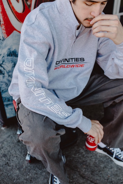 ��DIVINITIES/�ǥ��ӥ˥ƥ�������NAVI/CHAMPION HALF ZIP PULLOVER / HEATHER �إ������졼 GREY