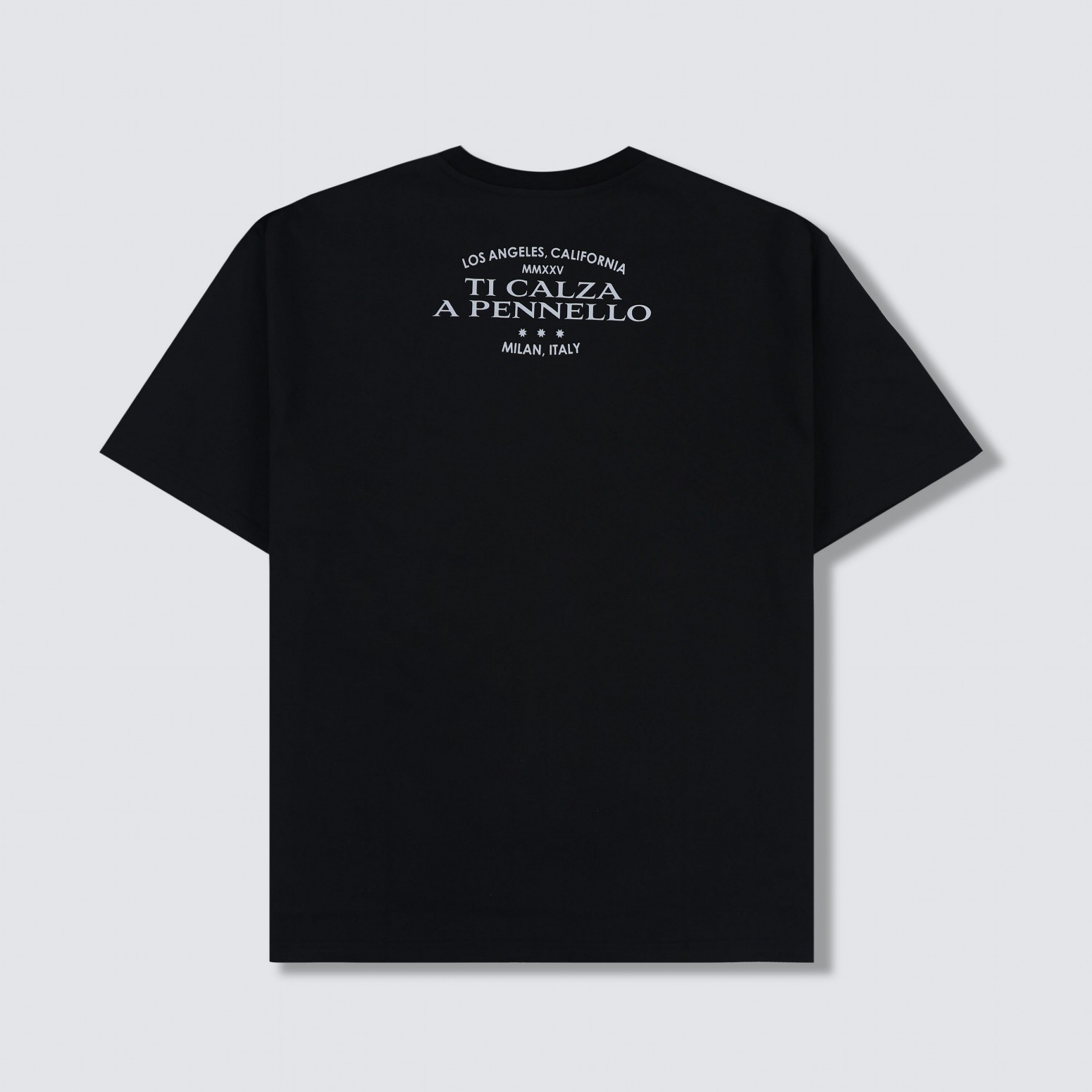 PLEASURES/ץ쥸㡼IUTER/ALBERTO T-SHIRT T / BLACK