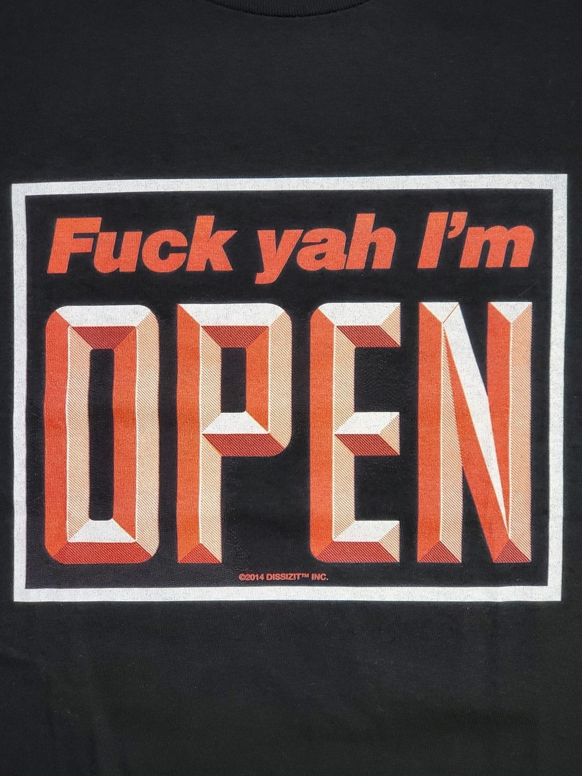 DISSIZIT/ǥåȡOPEN TEE T / BLACK ֥å