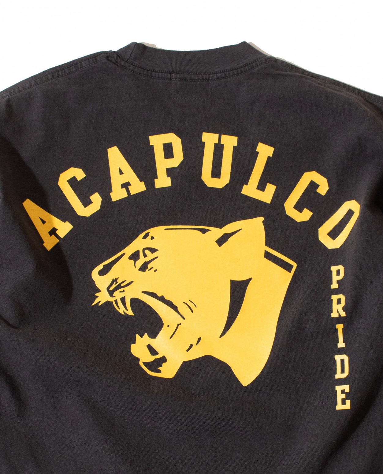 ACAPULCO GOLD/ץ륳 ɡPANTHER TEE ĹµT / VINTAGE BLACK