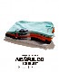 ACAPULCO GOLD/ץ륳 ɡALFREDO TEE ĹµT / BLACK