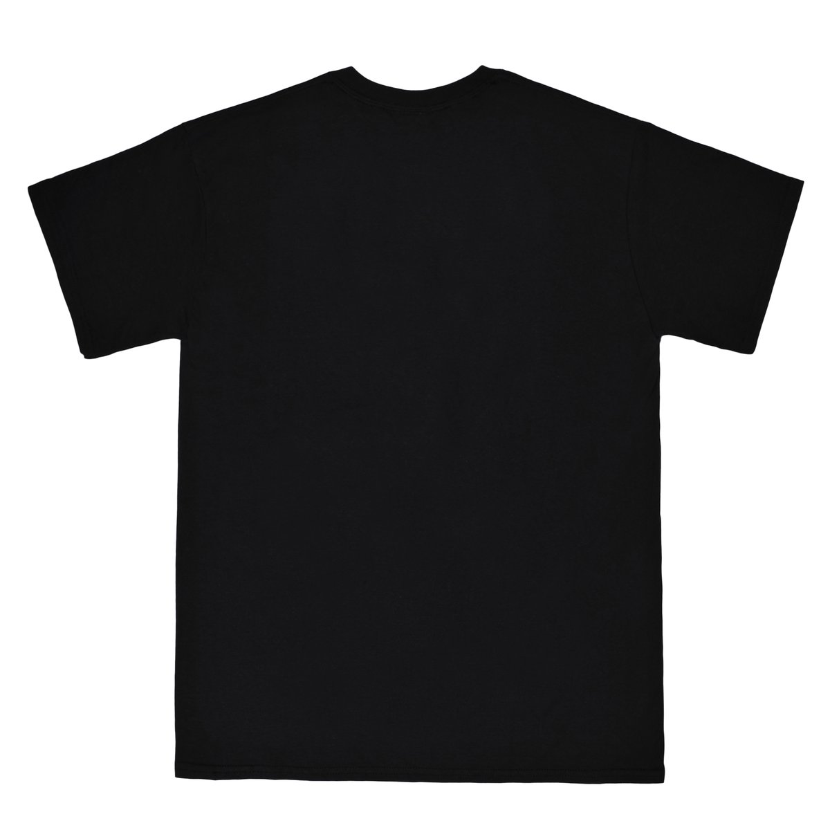 ��RAVE SKATEBOARDS/�쥤�֥������ȥܡ��ɡ�TRACY TEE T����� / BLACK �֥�å� ��