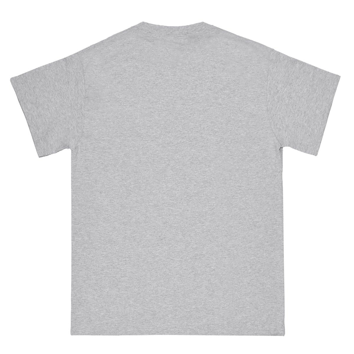 ��RAVE SKATEBOARDS/�쥤�֥������ȥܡ��ɡ�ZONKED PLANET TEE T����� / SPORT GREY