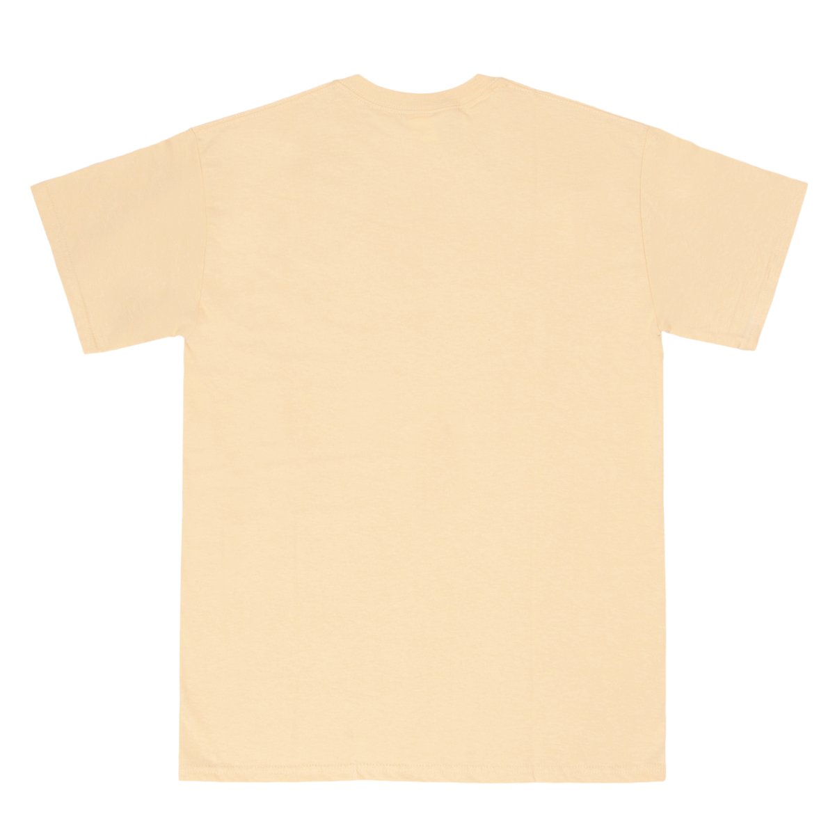 ��RAVE SKATEBOARDS/�쥤�֥������ȥܡ��ɡ�ZONKED PLANET TEE T����� / CREAM ���꡼�� �ۥ磻�� ��