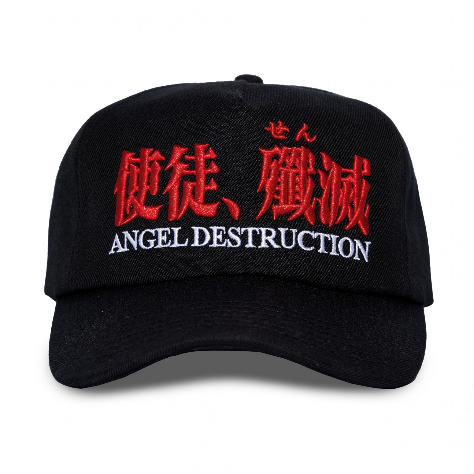PLEASURES/ץ쥸㡼ߥ󥲥ꥪDESTRUCTION CAP å / BLACK