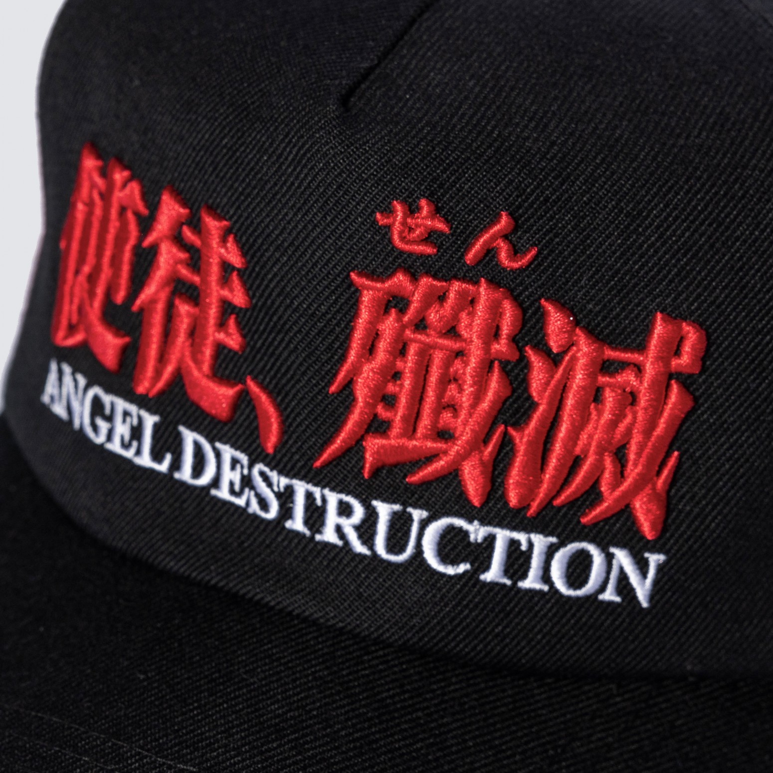 PLEASURES/ץ쥸㡼ߥ󥲥ꥪDESTRUCTION CAP å / BLACK