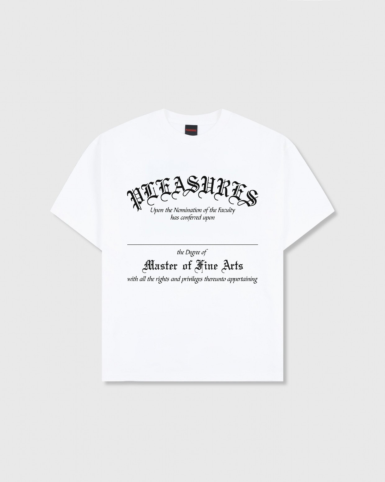 ��PLEASURES/�ץ쥸�㡼����DEGREE T-SHIRT T����� / WHITE