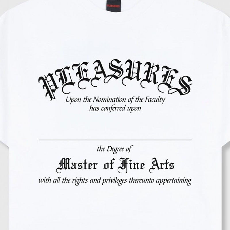 ��PLEASURES/�ץ쥸�㡼����DEGREE T-SHIRT T����� / WHITE