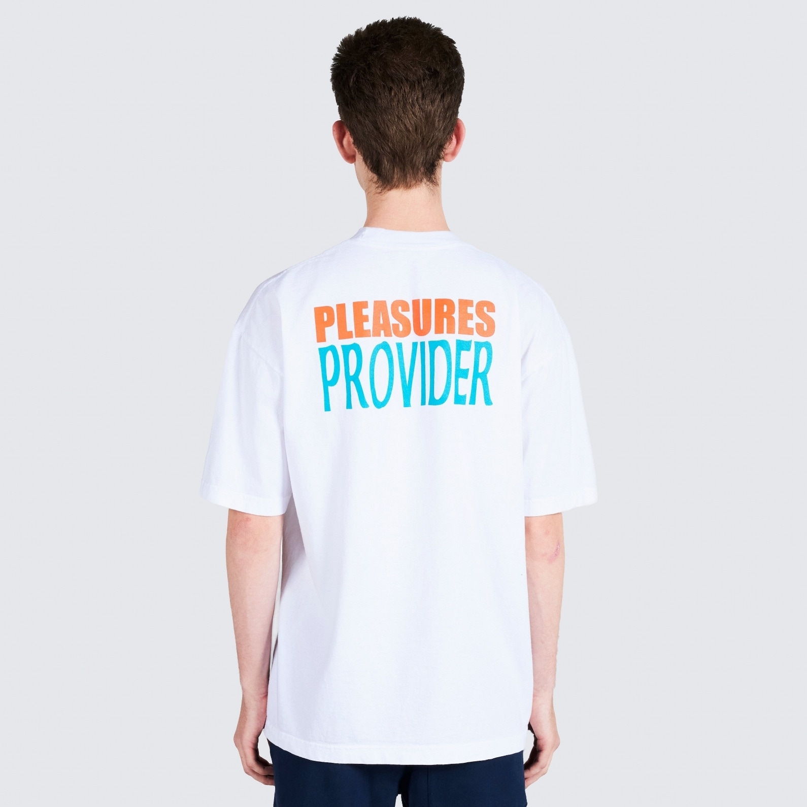 ��PLEASURES/�ץ쥸�㡼����N.E.R.D.��PROVIDER T-SHIRT T����� / WHITE