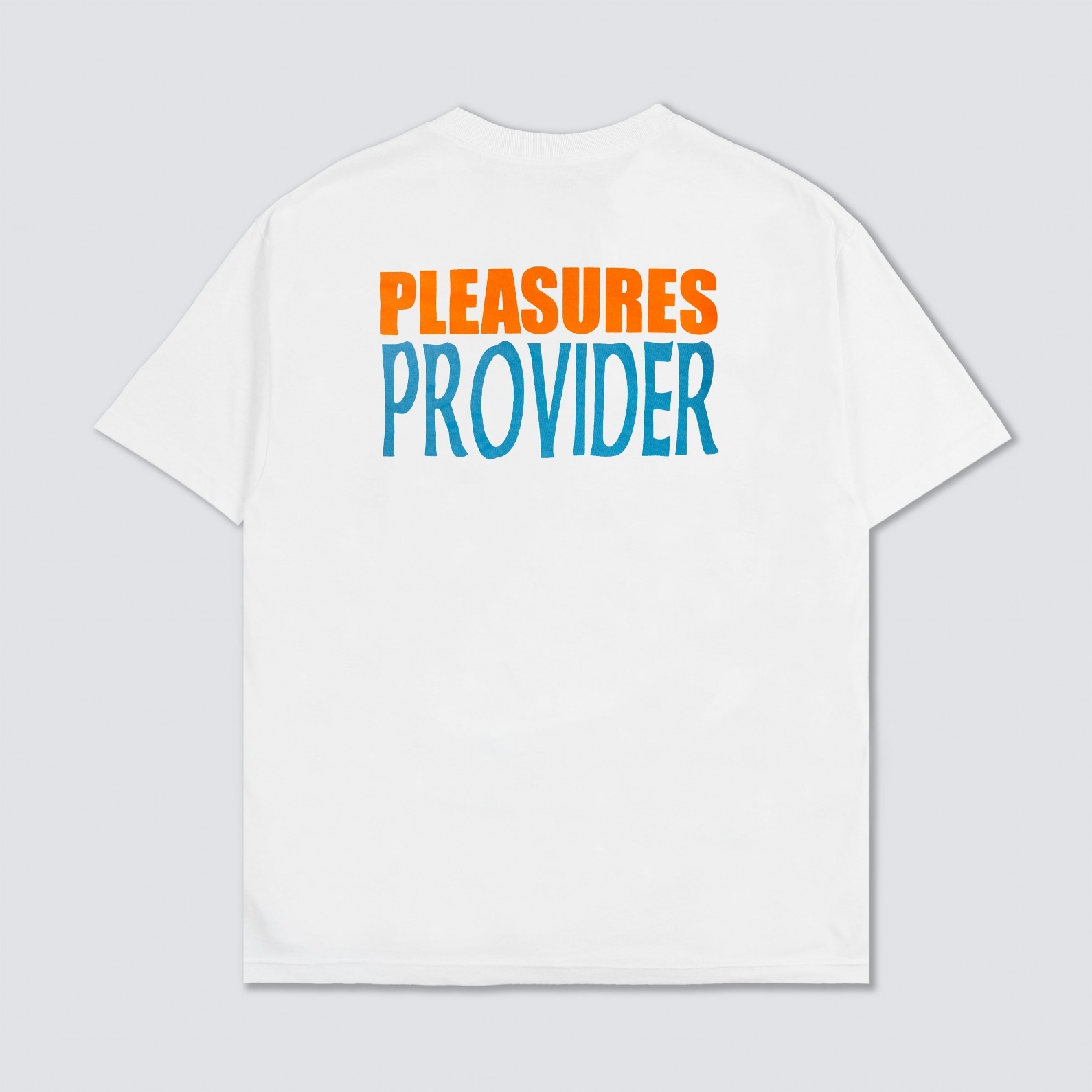 ��PLEASURES/�ץ쥸�㡼����N.E.R.D.��PROVIDER T-SHIRT T����� / WHITE