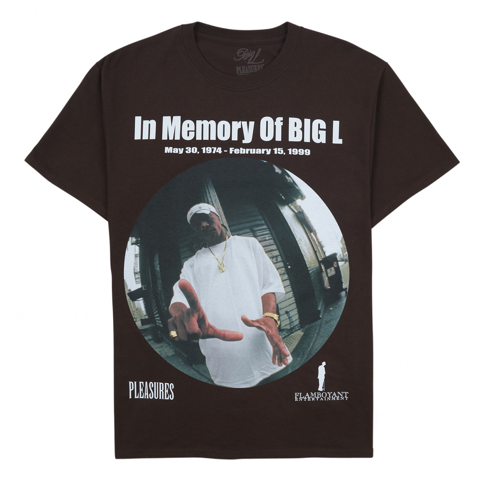 PLEASURES/ץ쥸㡼BIG L/ӥåLIN MEMORY T-SHIRT T / BROWN ֥饦