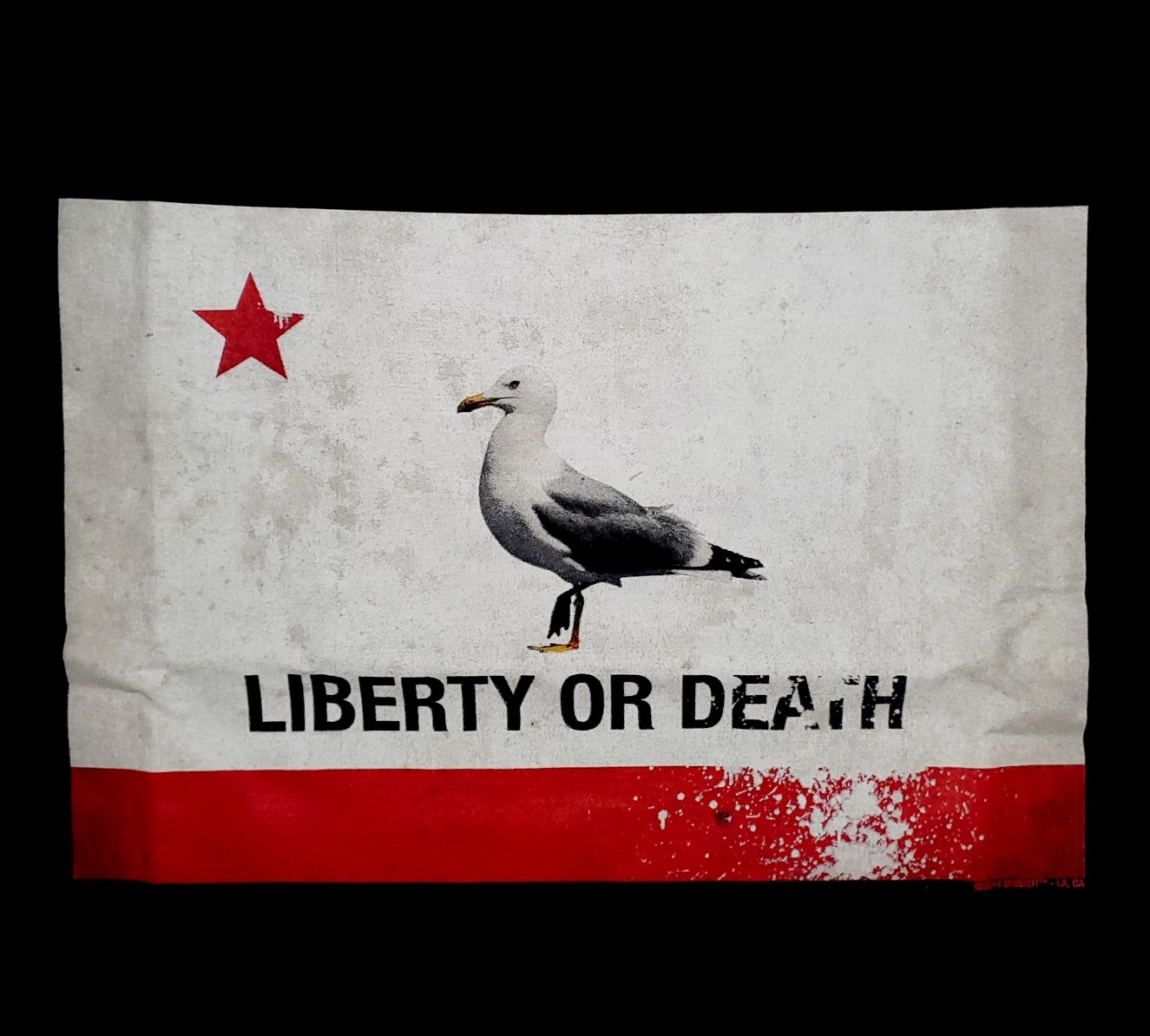 ��DISSIZIT/�ǥ����������åȡ�GULLY FLAG TEE T����� / BLACK �֥�å�