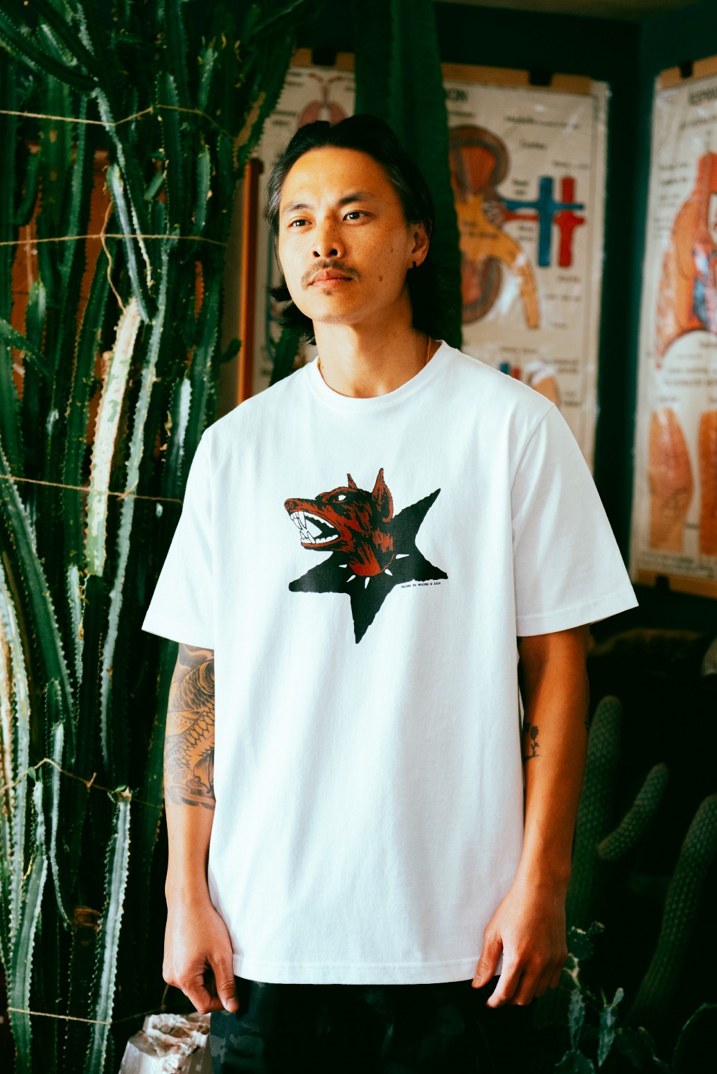 ��RAISED BY WOLVES/�쥤���ɥХ�����֥���DOG STAR TEE T����� / WHITE