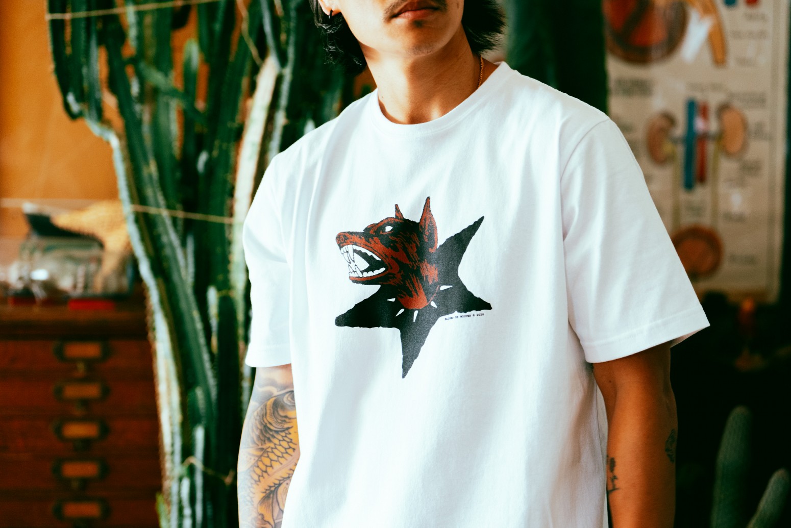 ��RAISED BY WOLVES/�쥤���ɥХ�����֥���DOG STAR TEE T����� / WHITE