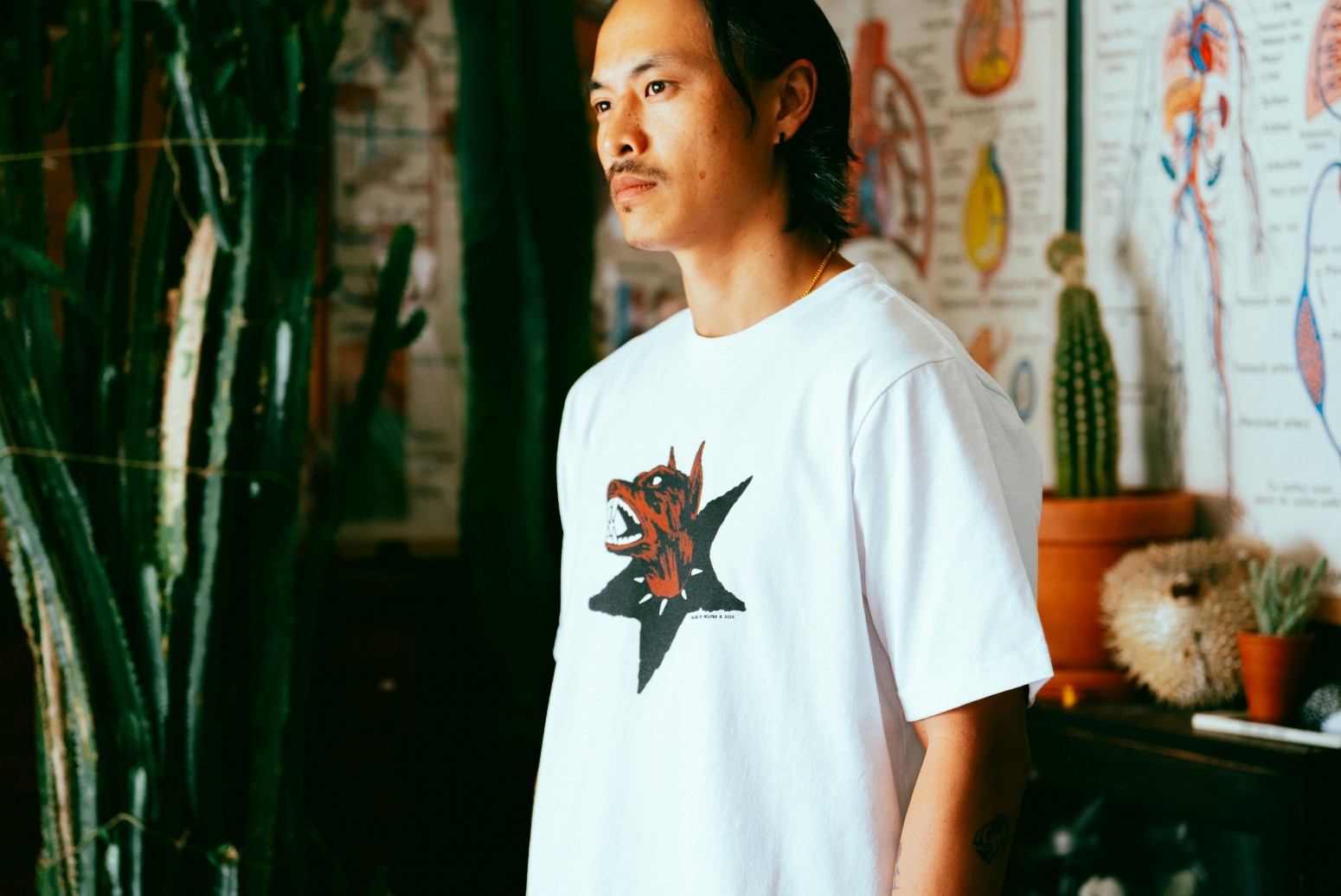 ��RAISED BY WOLVES/�쥤���ɥХ�����֥���DOG STAR TEE T����� / WHITE