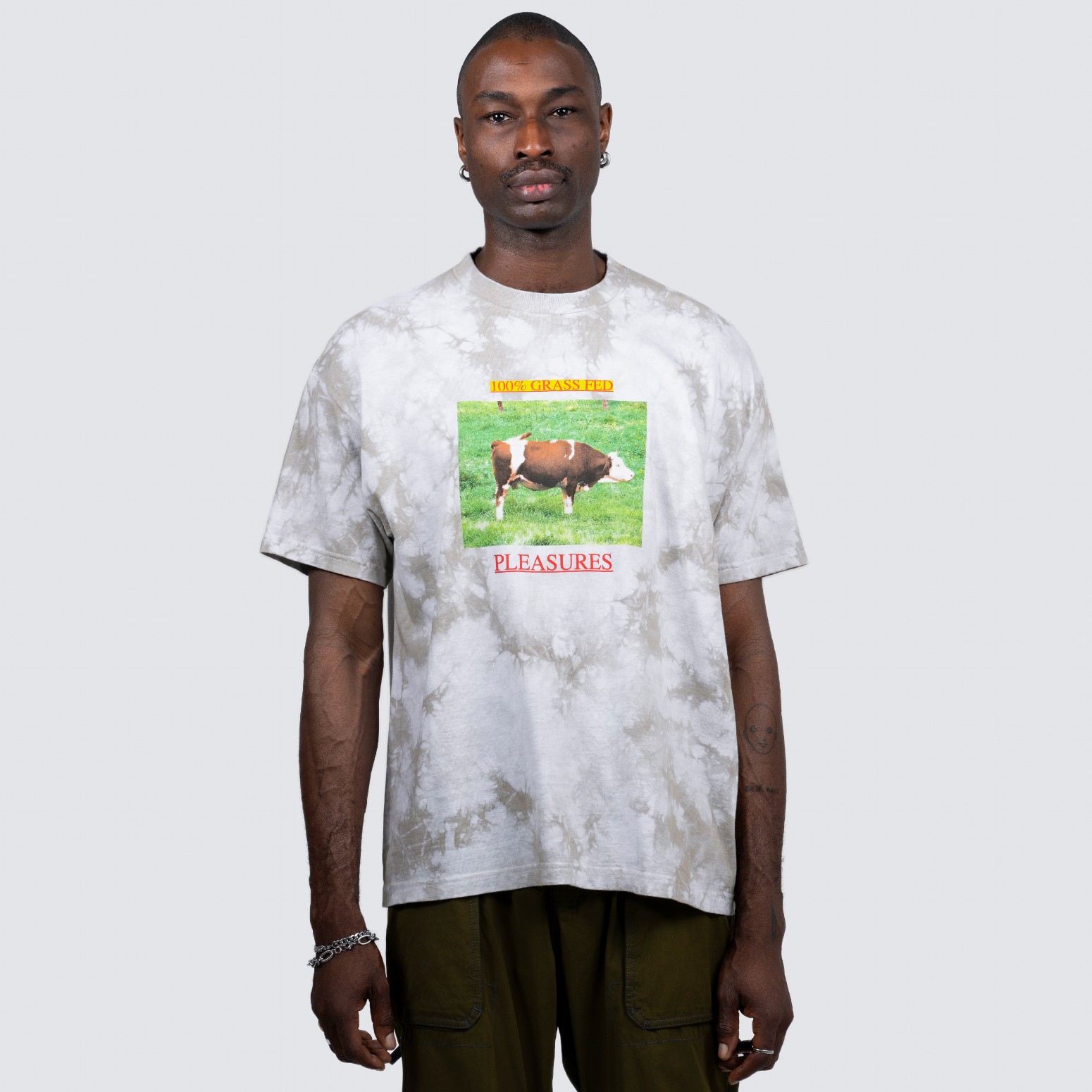 ��PLEASURES/�ץ쥸�㡼����GRASS FED T-SHIRT T����� / STORM