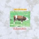 ��PLEASURES/�ץ쥸�㡼����GRASS FED T-SHIRT T����� / STORM