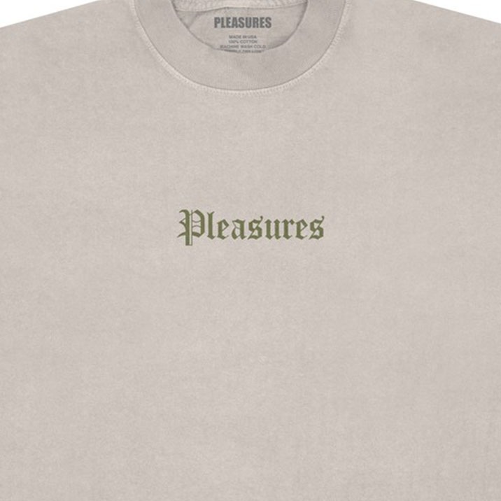 PLEASURES/ץ쥸㡼BURN AGAIN T-SHIRT T / MUSHROOM