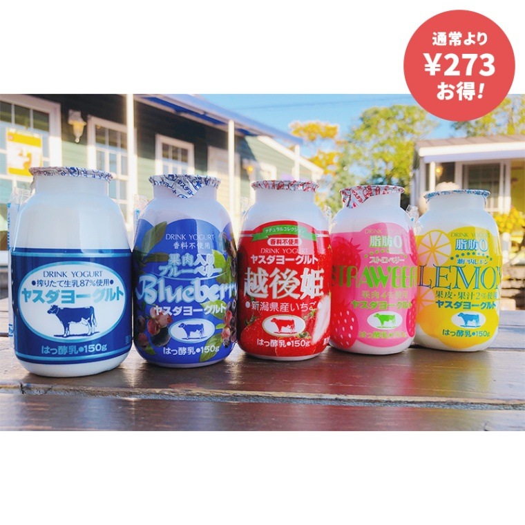 お試し阿賀野市Bプラン