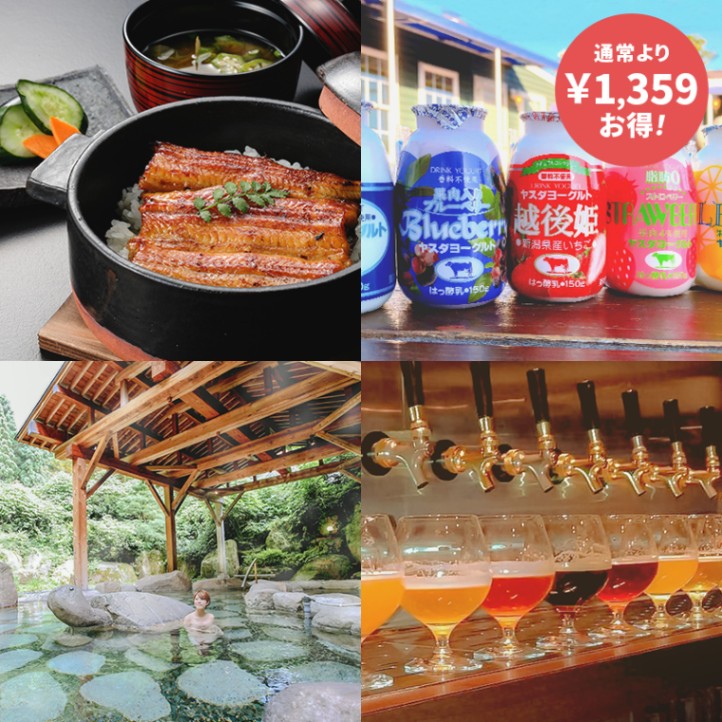 阿賀野市MAXプラン