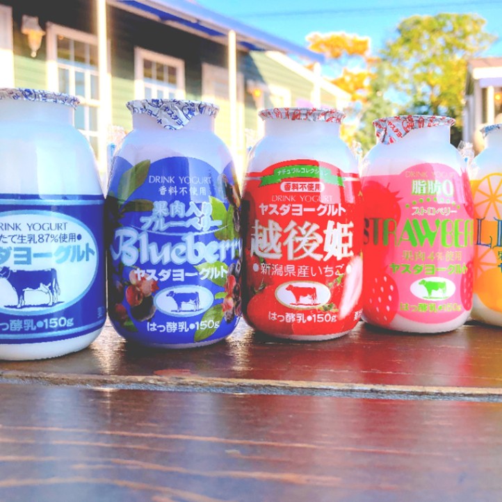 【飲食オプション】ヤスダヨーグルト 「ヤスダヨーグルト5本セット」