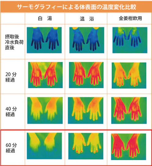 【定期購入・1ヶ月】＜ジンジャーシロップ＞金姜柑・2本入り