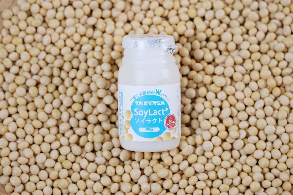 ソイラクト無糖100ml・12本入り