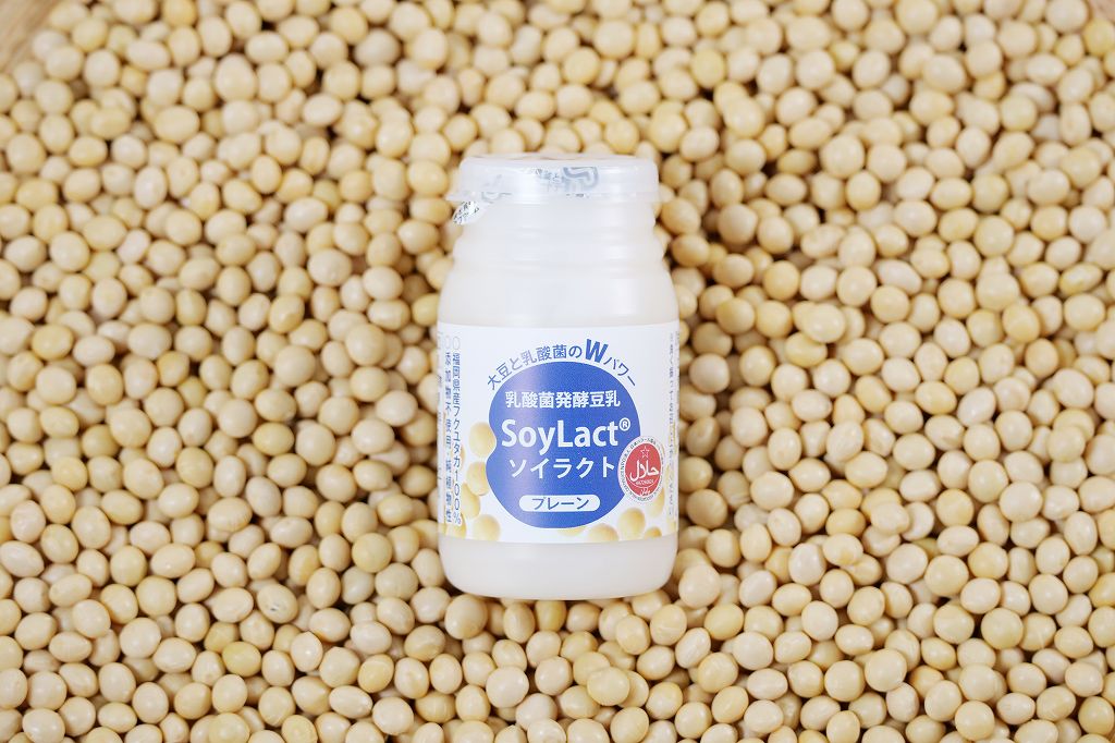 ソイラクトプレーン100ml・12本入り