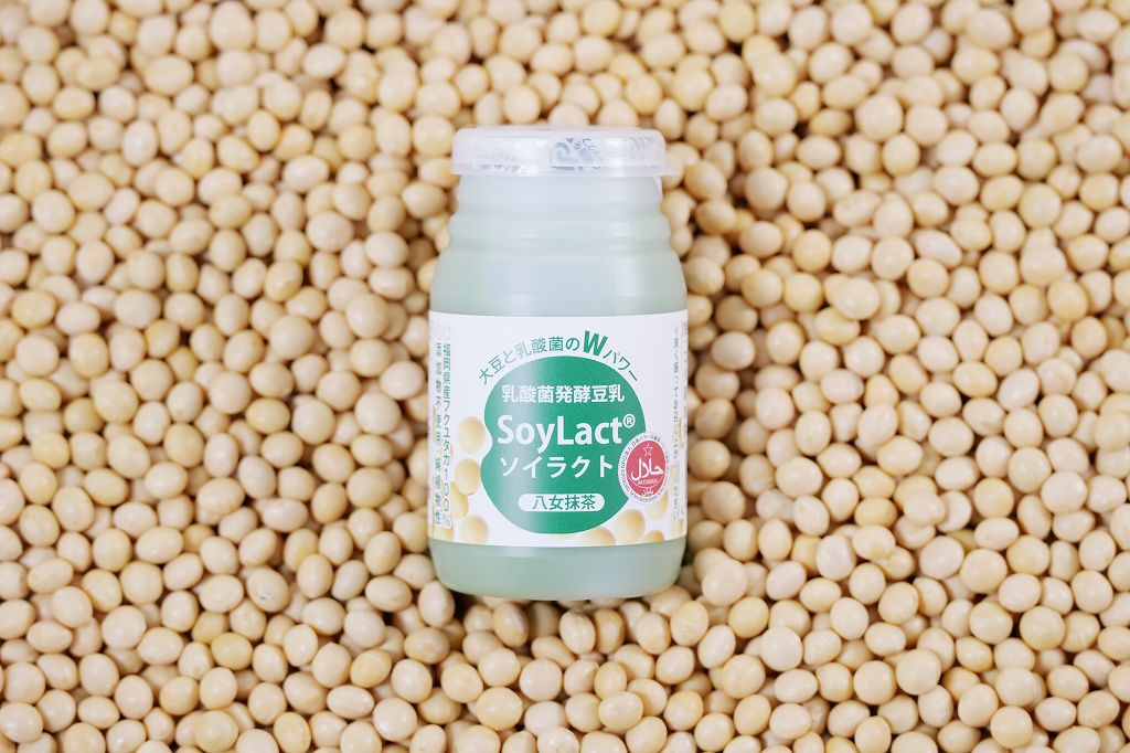 ソイラクト八女抹茶味100ml・6本入り