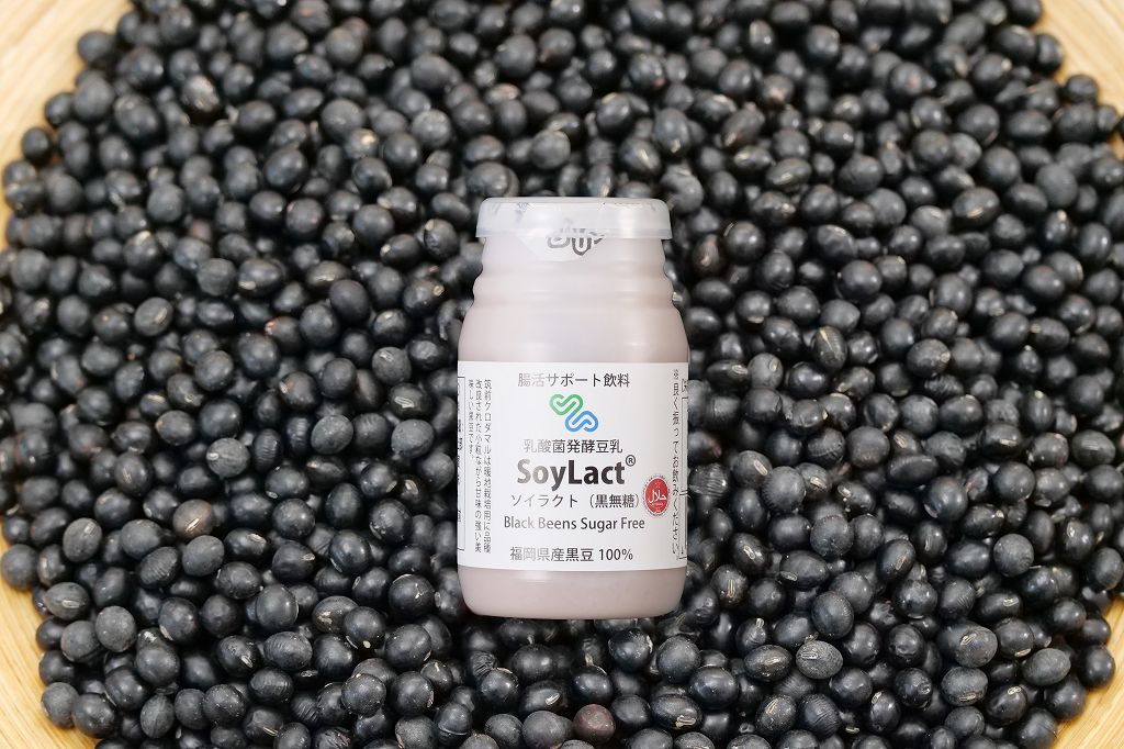 ソイラクト黒無糖100ml・12本入り