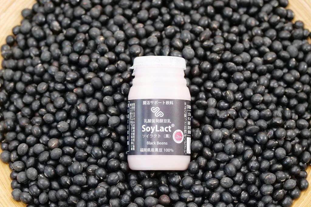 ソイラクト黒100ml・6本入り