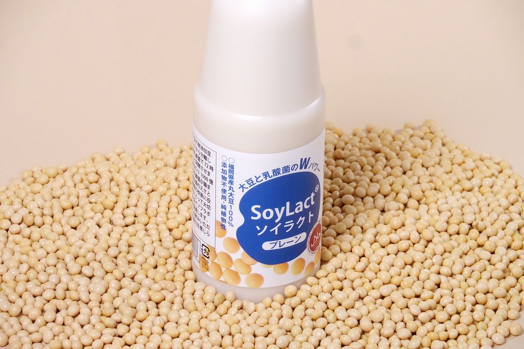 ソイラクトプレーン ファミリーサイズ 900ml