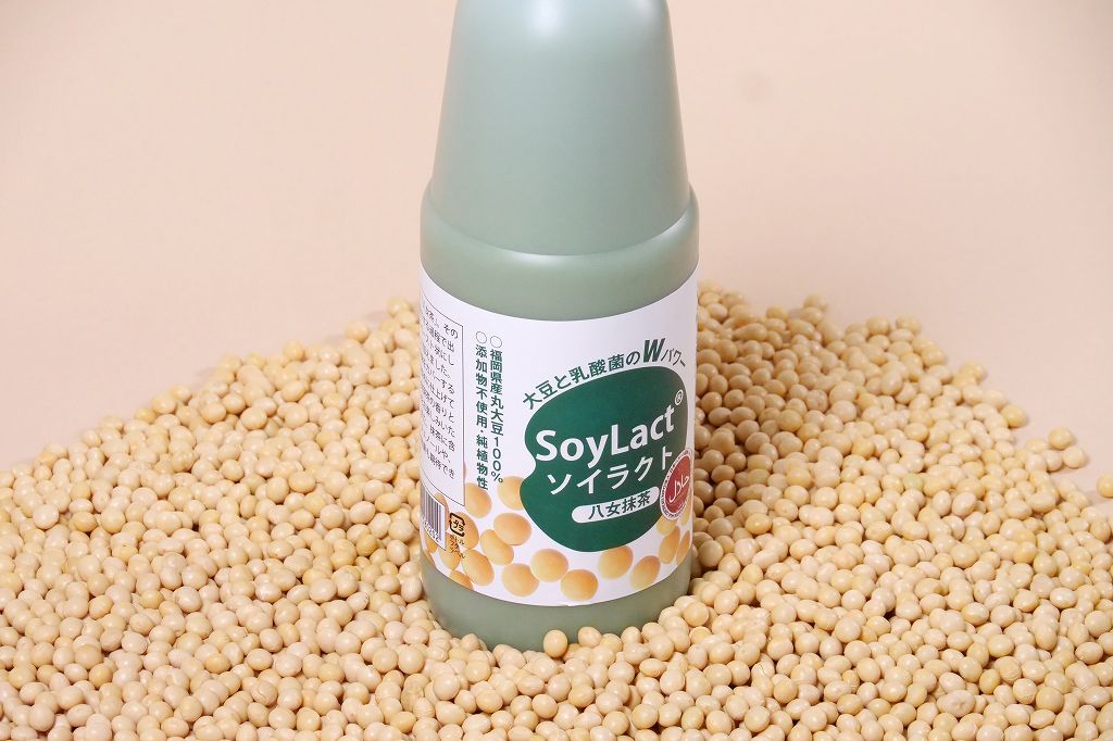 ソイラクト抹茶 ファミリーサイズ 900ml