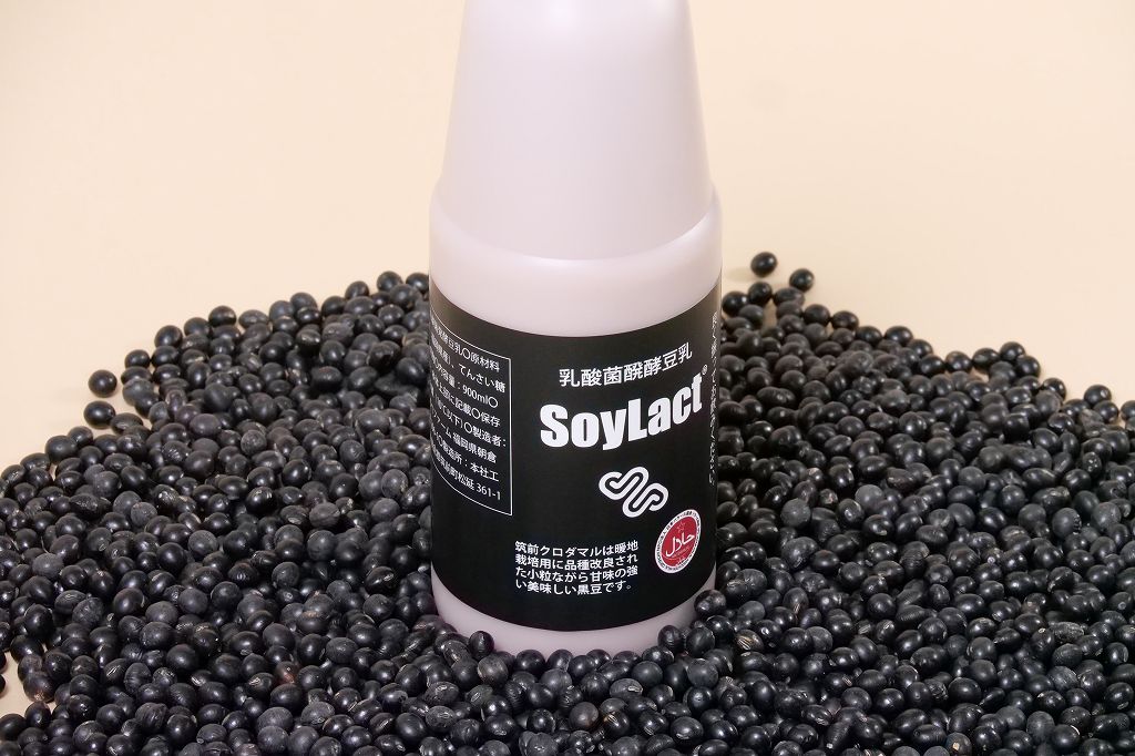 ソイラクト黒 ファミリーサイズ 900ml
