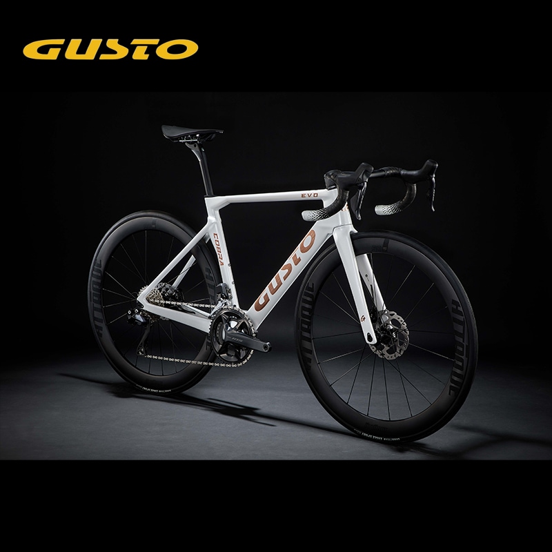 GUSTO グスト COBRA EVO DB SPORT TE コブラエヴォ ディスク スポーツ 105 Di2　オリジナルカーボンホイール　 完成車 日本正規品　