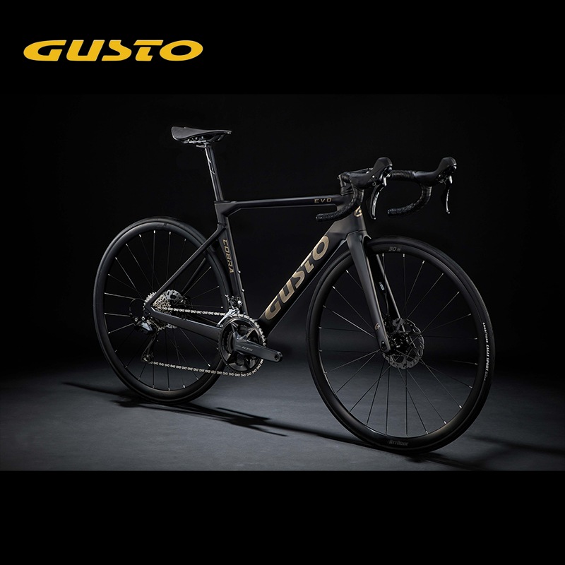 GUSTO グスト COBRA EVO DB ELITE コブラエヴォ ディスク エリート 機械式105  完成車 日本正規品　|GUSTO/グスト|自転車車体
