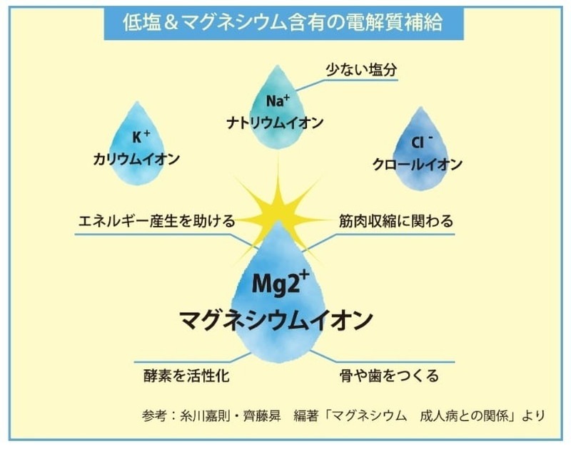 ALIVAL アライバル 濃縮イオン均衡液 ALIVAL(アライバル)　クエン酸強化プラス 100ml プッシュ式　