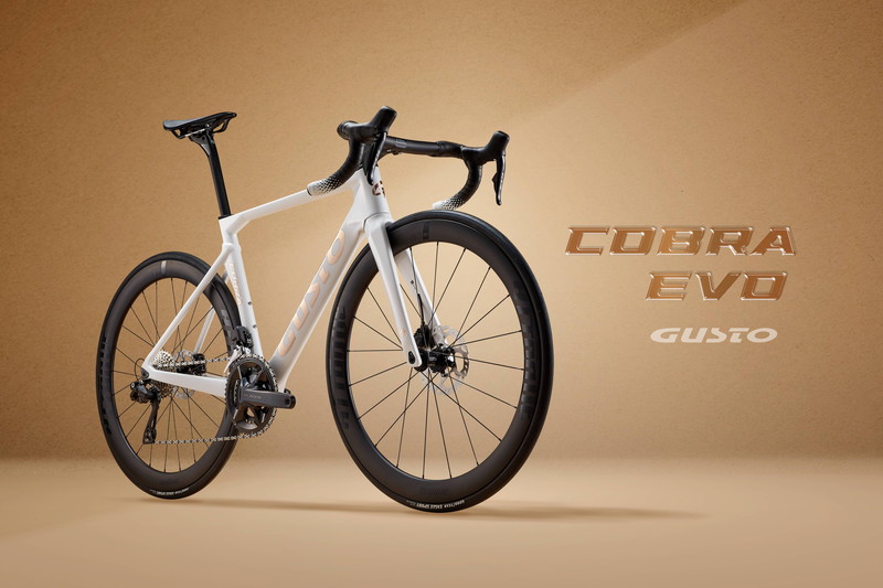 GUSTO グスト COBRA EVO DB SPORT TE コブラエヴォ ディスク スポーツ 105 Di2　オリジナルカーボンホイール　 完成車 日本正規品　