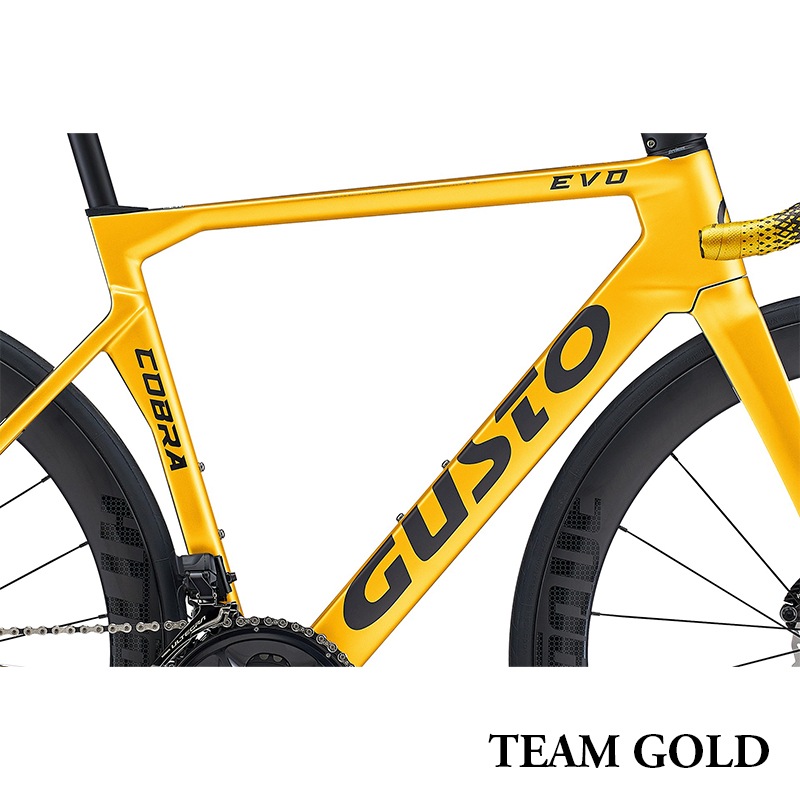 GUSTO グスト COBRA EVO DB SPORT TE コブラエヴォ ディスク スポーツ 105 Di2　オリジナルカーボンホイール　 完成車 日本正規品　