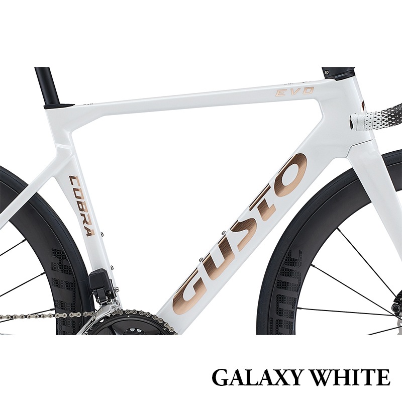 GUSTO グスト COBRA EVO DB SPORT TE コブラエヴォ ディスク スポーツ 105 Di2　オリジナルカーボンホイール　 完成車 日本正規品　