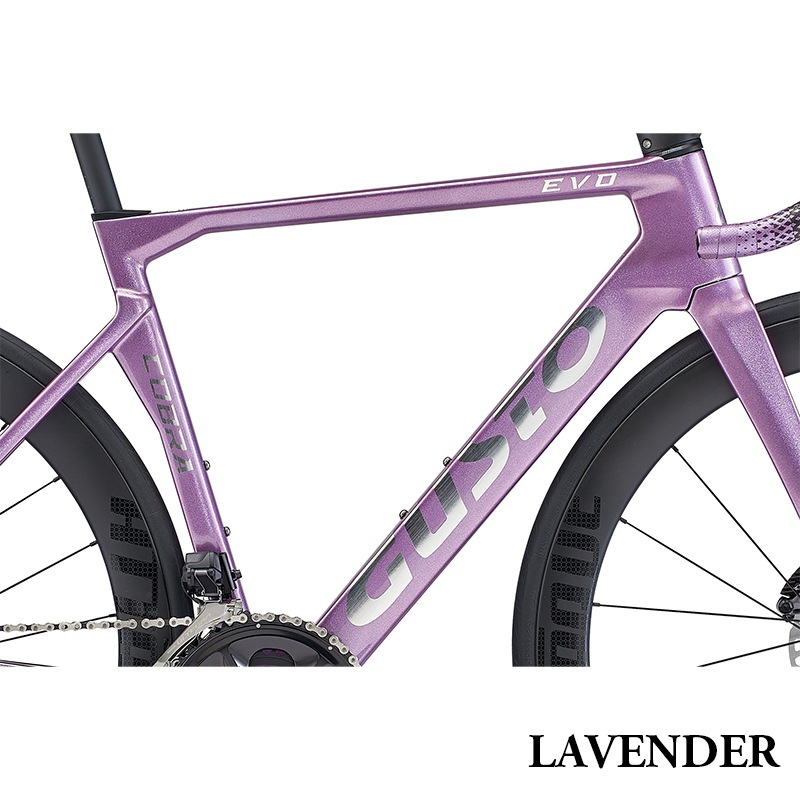 GUSTO グスト COBRA EVO DB SPORT TE コブラエヴォ ディスク スポーツ 105 Di2　オリジナルカーボンホイール　 完成車 日本正規品　